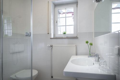 baño con lavabo y aseo y ventana en Ambiente Hotel Papenhof en Elze