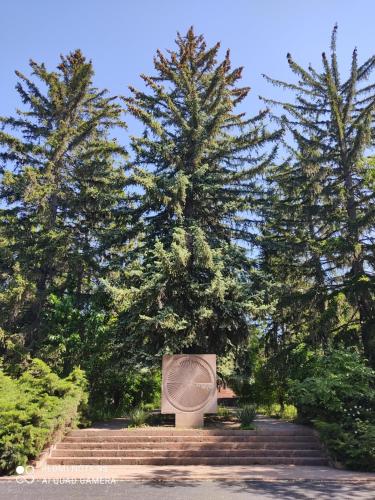 a statue in front of two pine trees at Seva Guesthouse and Cottages Byurakan in Byurakan