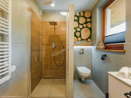 uma casa de banho com um chuveiro e um WC. em Apartament Skała em Kościelisko