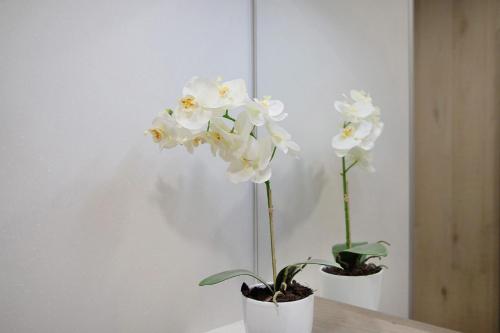 two white orchid plants sitting on a table at Ferienwohnung Marinas Alpenblick in Inzell