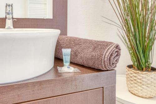 La salle de bains est pourvue d'un lavabo et d'une plante sur un comptoir. dans l'établissement La Rosace, à Toulouse