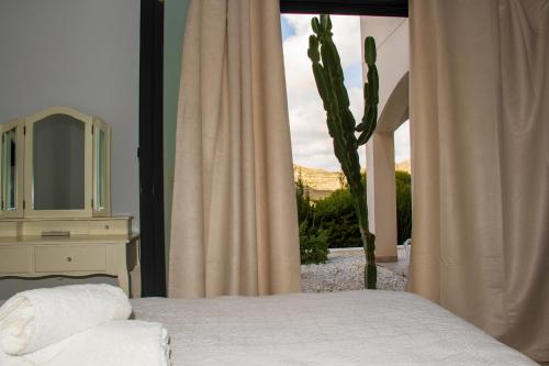 a bedroom with a cactus and a bed with a mirror at Oro y luz las negras in Las Negras