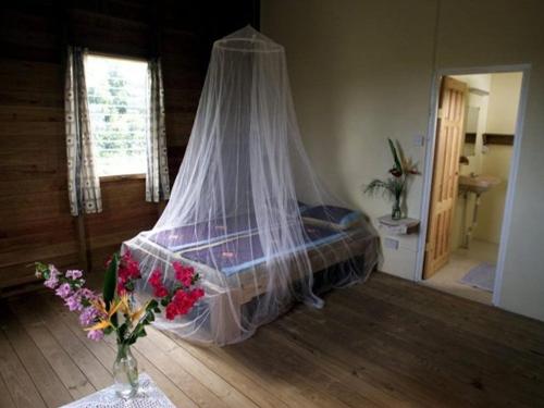 Bett mit Moskitonetz in einem Zimmer in der Unterkunft Big Sky Lodge in Crochu