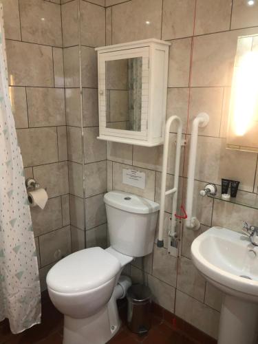 a bathroom with a toilet and a sink at Queen Phillippa in Queenborough