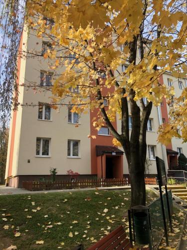 a tree with yellow leaves in front of a building at Apartament Krakowska in Bochnia