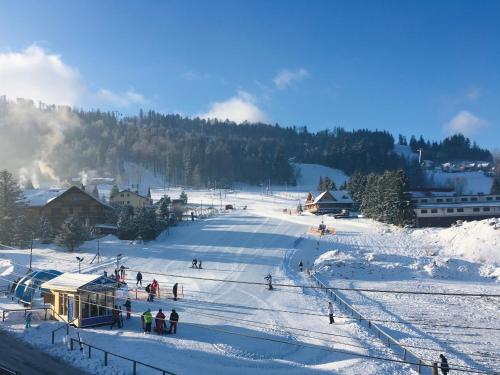 a group of people skiing down a snow covered slope at Apartamenty Bieńkula in Szczyrk