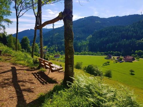 a bench sitting next to a tree in a field at Hotel Walkenstein in Oberwolfach