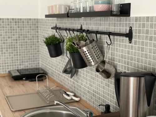 uma cozinha com vasos de plantas numa parede em Apartman Sunny em Sombor