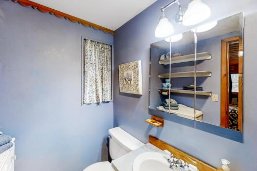 a bathroom with blue walls and a toilet and a sink at Backcountry Bungalow in Joseph