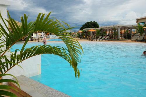 a large swimming pool with a palm tree in the foreground at Lacqua Diroma Caldas Novas PB Turismo in Caldas Novas