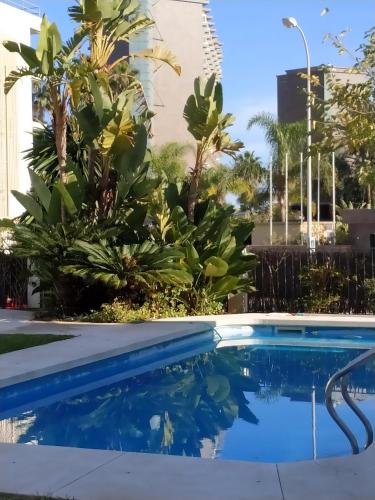 Apartamento Vistalmar