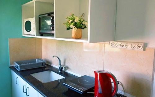 Köök või kööginurk majutusasutuses Jordan Valley one room apartment
