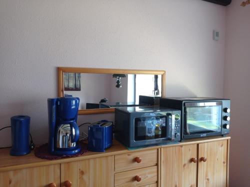 een magnetron en een tv op een houten kast bij Ferienwohnung Neumann Feriendorf Hoher Bogen Haus 41 in Arrach