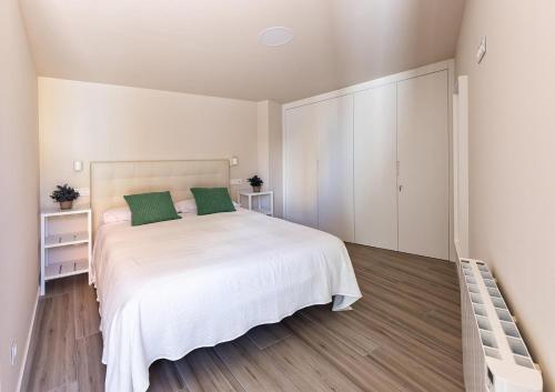 1 dormitorio con 1 cama blanca grande con almohadas verdes en A TU VERA VUT-09/298, en Burgos