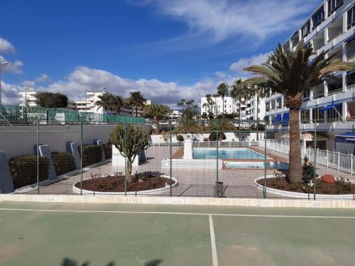 Apartamento centrico en Playa Del Ingles游泳池或附近泳池