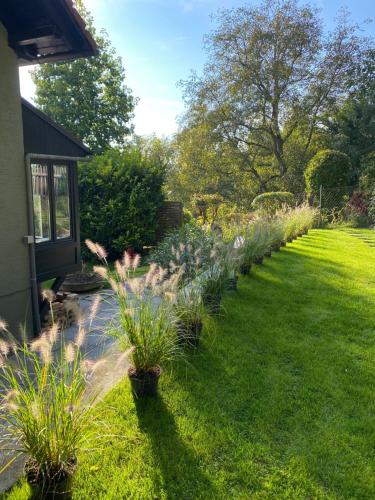 a garden with a row of plants in a yard at Jules&Jim Gästehaus in Linz