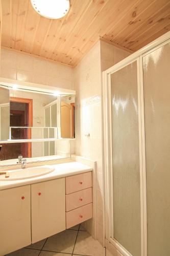 une salle de bain avec un lavabo et une douche dans l'établissement Le Lys orangé, à Lanslebourg-Mont-Cenis