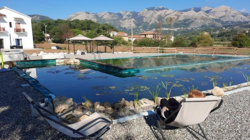 a swimming pool with two chairs in front of a house at Agriturismo Albero del Miele in San Rufo