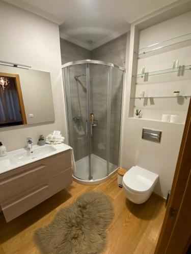 Kúpeľňa v ubytovaní Apartamento Centro Ciudad Pontevedra