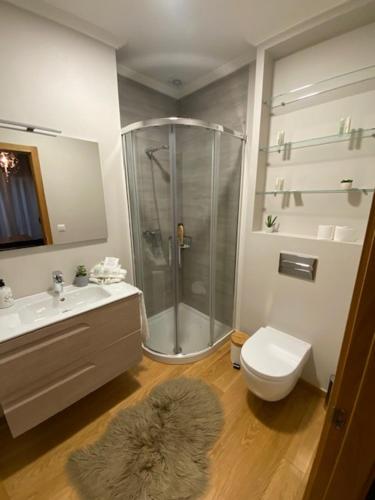 a bathroom with a shower and a toilet and a sink at Apartamento Centro Ciudad Pontevedra in Pontevedra