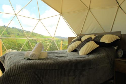 a bedroom with a bed with a large glass window at Glamping Caliza La Calera in La Calera