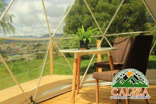 a glass igloo with a table and a plant in it at Glamping Caliza La Calera in La Calera