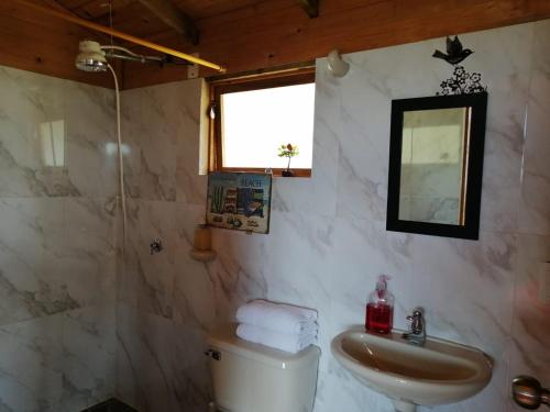 a bathroom with a sink and a toilet and a window at Cabaña San Martin in Guatavita