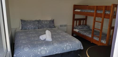 Una cama o camas en una habitación de Spring Creek Holiday Park