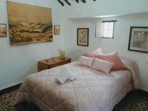 a bedroom with a large bed with pink pillows at La Casita Verde Valle in La Fuente Grande