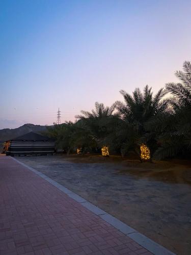 a park with palm trees and a bench at sunset at Algor Farm in Qūr