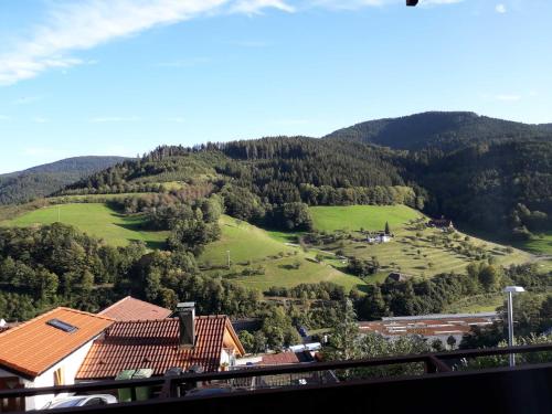 Elle offre une vue sur une montagne agrémentée de champs et d'arbres verdoyants. dans l'établissement Ferienwohnung Panorama, à Bad Peterstal-Griesbach