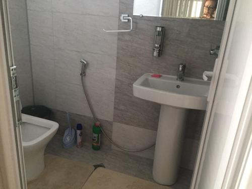 een badkamer met een wastafel, een toilet en een spiegel bij Barsa in Zestafoni