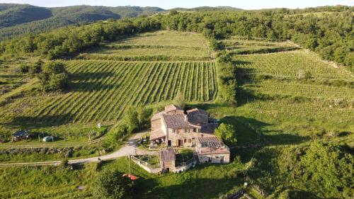 an aerial view of a house in a vineyard at Agriturismo Podere Tegline in Radda in Chianti