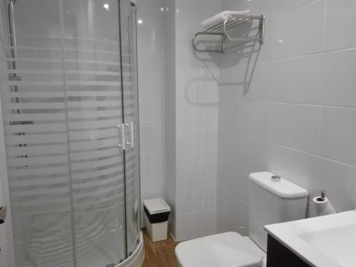 a bathroom with a shower and a toilet and a sink at Apartamento Plazuela in Teruel