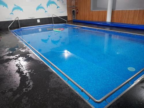 a large swimming pool with blue water in a building at Hotel Douro Vale de Campos in Penafiel