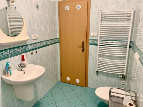 W łazience znajduje się umywalka, toaleta i lustro. w obiekcie Pension Lenka 1 w mieście Harrachov