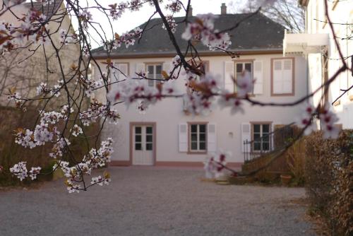 Uma casa branca com flores cor-de-rosa à frente. em La Maison Carré em Wolxheim