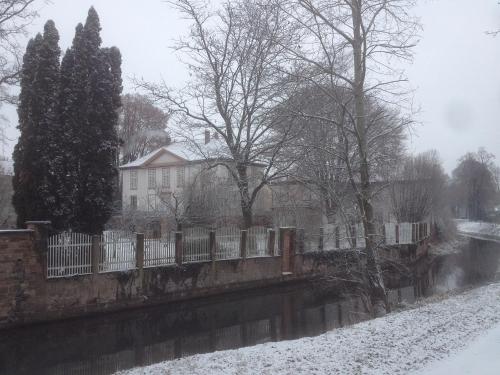 a fence and trees in the snow next to a river at La Maison Carré in Wolxheim
