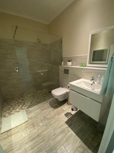een badkamer met een toilet, een wastafel en een douche bij 19th Hole Guest Lodge - Golfers paradise in Hermanus