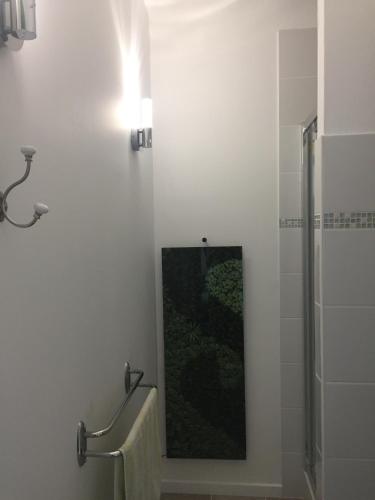 a bathroom with a mirror and a shower with a towel at Maison Art Deco-5 suites, piscine, clim, parking in Labouheyre