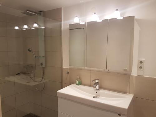 a bathroom with a sink and a mirror and a shower at Zimmer 1 nahe Thoraxklinik - Bad und Küche geteilt in Heidelberg