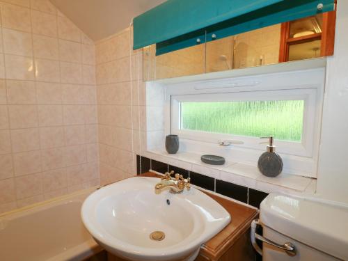 a bathroom with a sink and a toilet and a window at Cloud View Cottage in Ashbourne