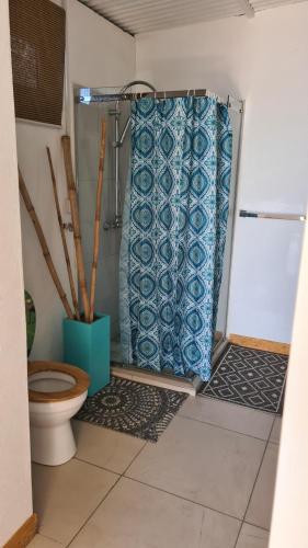 a bathroom with a toilet and a shower curtain at Les 2 canons in Flic-en-Flac