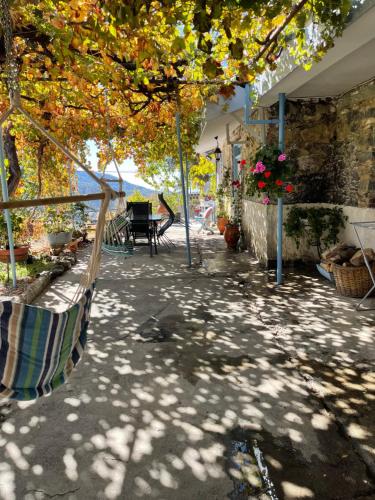 普羅卓莫斯的住宿－Holiday House Prodromos，一座带吊床的庭院,位于一座建筑的树荫下