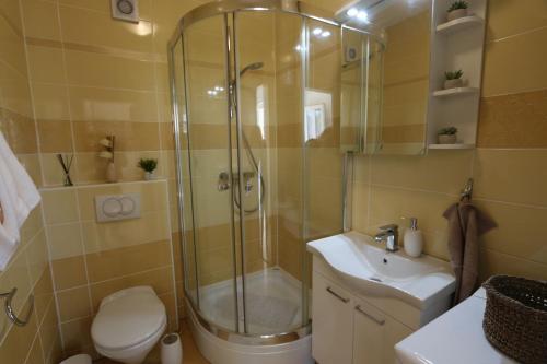 e bagno con doccia, servizi igienici e lavandino. di Apartment Rinkovec a Klimno