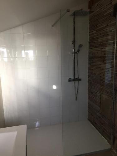 une douche avec une porte vitrée dans une salle de bain dans l'établissement Gîte à broc à 5 minutes de Plombières les Bains, à Plombières-les-Bains
