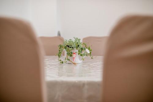 a table with a vase of flowers on it at Željko Apartmani in Lopar