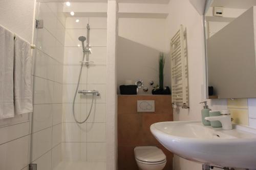 Ένα μπάνιο στο Ferienwohnung Sayn bei Koblenz