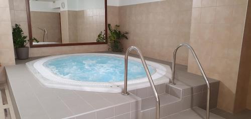 塞克什白堡的住宿－扎可薩精品酒店，一间带按摩浴缸和镜子的浴室