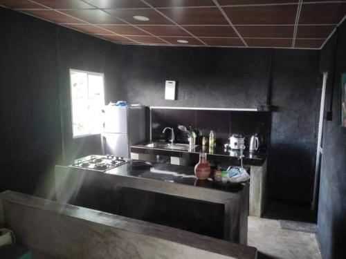 a black kitchen with a sink and a refrigerator at Kandy Penhouse in Kandy